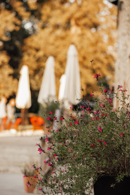 Team building au vert - Domaine de Tilh